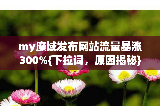 my魔域发布网站流量暴涨300图片