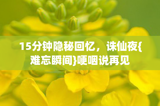 15分钟隐秘回忆图片