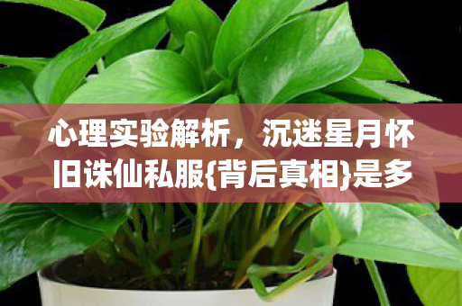 沉迷星月怀旧诛仙私服图片