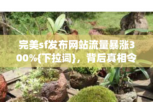 完美sf发布网站流量暴涨300图片