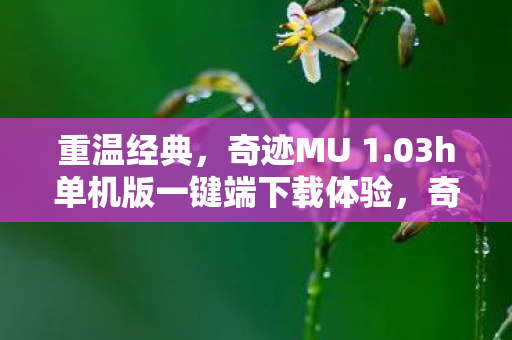 重温经典，奇迹MU 1.03h单机版一键端下载体验，奇迹MU 1.03h单机版一键端下载体验，重温经典游戏