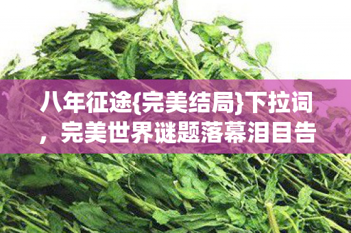 完美世界谜题落幕泪目告别图片