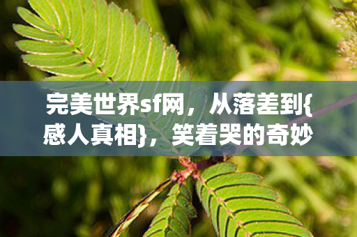 笑着哭的奇妙体验图片