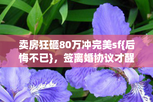 卖房狂砸80万冲完美sf图片