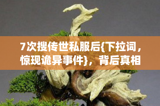7次搜传世私服后图片