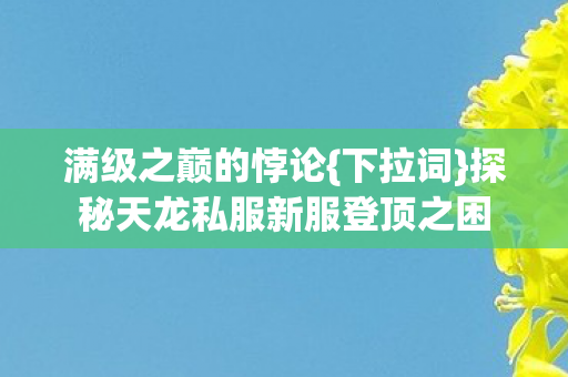 探秘天龙私服新服登顶之困图片