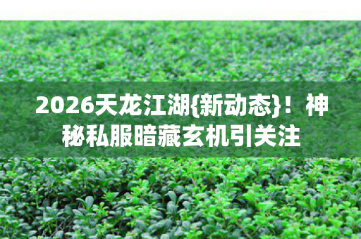 2026天龙江湖{新动态}！神秘私服暗藏玄机引关注