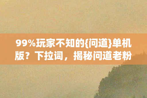 揭秘问道老粉十年心酸图片
