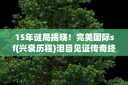 泪目见证传奇终章图片