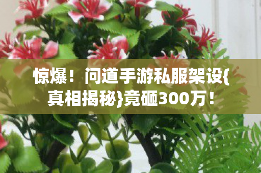 问道手游私服架设图片