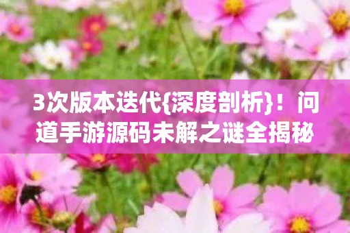 问道手游源码未解之谜全揭秘图片