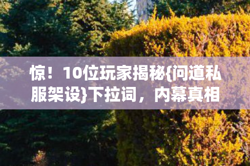 10位玩家揭秘图片