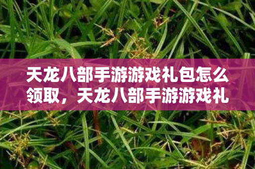天龙八部手游游戏礼包怎么领取,天龙八部手游游戏礼包领取攻略 天龙八部手游游戏礼包怎么领取,天龙八部手游游戏礼包领取攻略