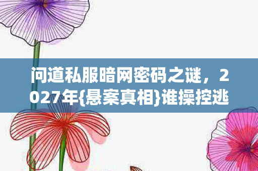 问道私服暗网密码之谜图片