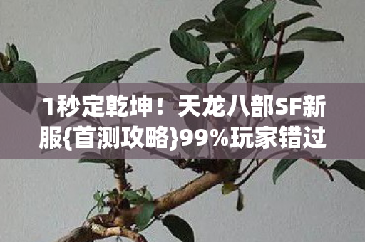 1秒定乾坤！天龙八部SF新服{首测攻略}99%玩家错过心得