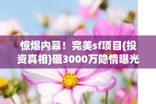 砸3000万隐情曝光图片