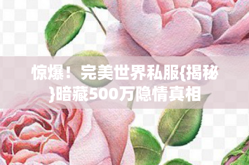 暗藏500万隐情真相图片