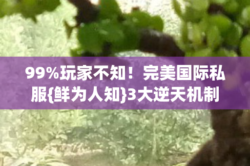 3大逆天机制揭秘图片
