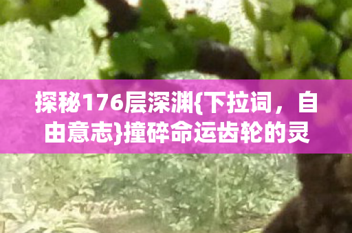撞碎命运齿轮的灵魂悖论图片