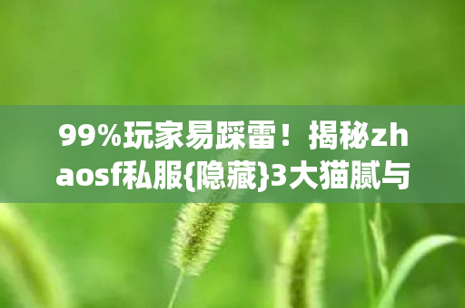 揭秘zhaosf私服图片