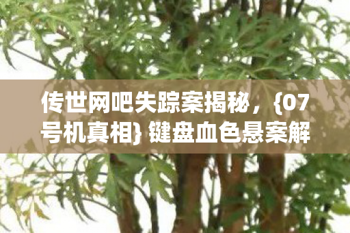 传世网吧失踪案揭秘图片