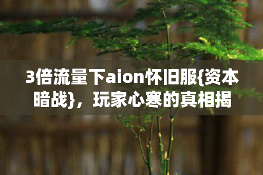 3倍流量下aion怀旧服图片