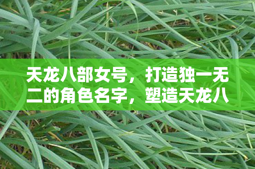 天龙八部女号,打造独一无二的角色名字,塑造天龙八部女号,打造独一无二的角色命名艺术 天龙八部女号,打造独一无二的角色名字,塑造天龙八部女号,打造独一无二的角色命名艺术
