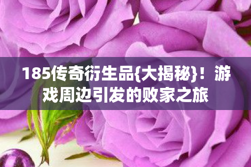 游戏周边引发的败家之旅图片