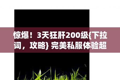 3天狂肝200级图片