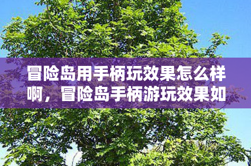 冒险岛用手柄玩效果怎么样啊,冒险岛手柄游玩效果如何? 冒险岛用手柄玩效果怎么样啊,冒险岛手柄游玩效果如何?