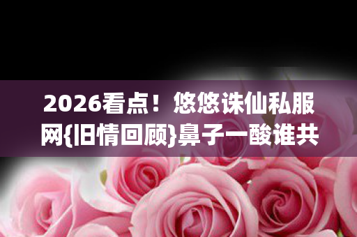 悠悠诛仙私服网图片