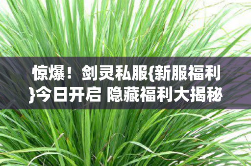 今日开启 隐藏福利大揭秘图片