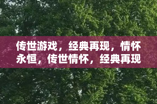 传世游戏,经典再现,情怀永恒,传世情怀,经典再现,永恒不灭 传世游戏,经典再现,情怀永恒,传世情怀,经典再现,永恒不灭