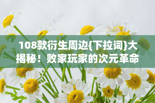 败家玩家的次元革命图片