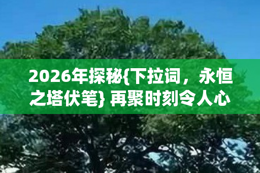 再聚时刻令人心酸图片