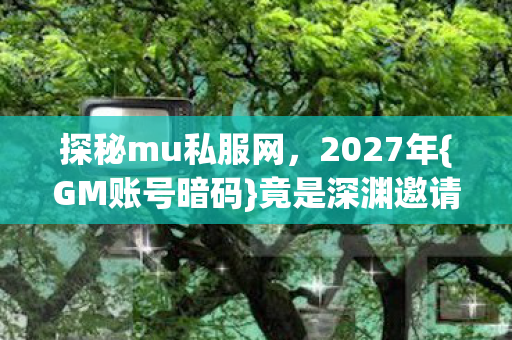 探秘mu私服网图片