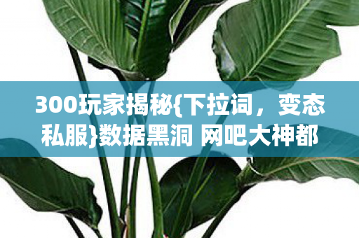 数据黑洞 网吧大神都惊了图片