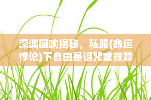 下自由是诅咒或救赎图片