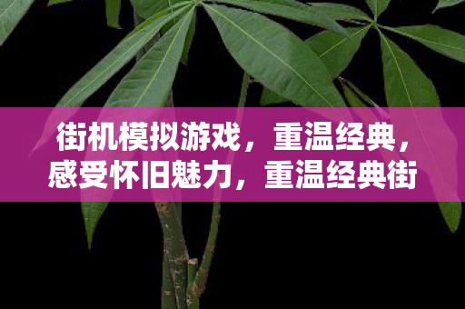 街机模拟游戏，重温经典，感受怀旧魅力，重温经典街机模拟游戏，感受怀旧魅力