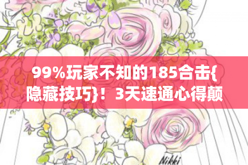 玩家不知的185合击图片