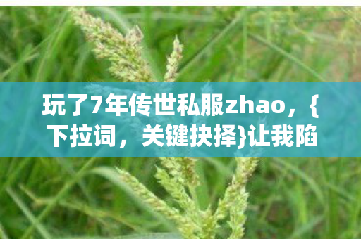 玩了7年传世私服zhao图片