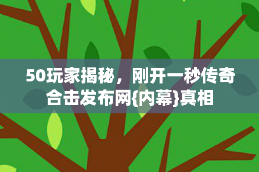 刚开一秒传奇合击发布网图片