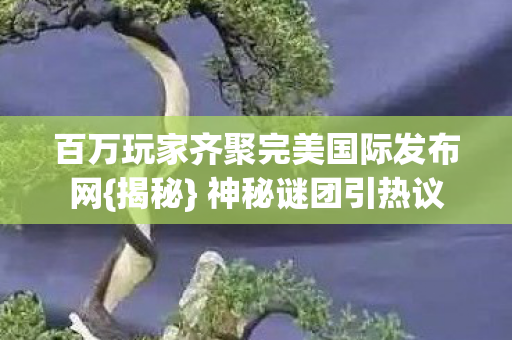 百万玩家齐聚完美国际发布网图片