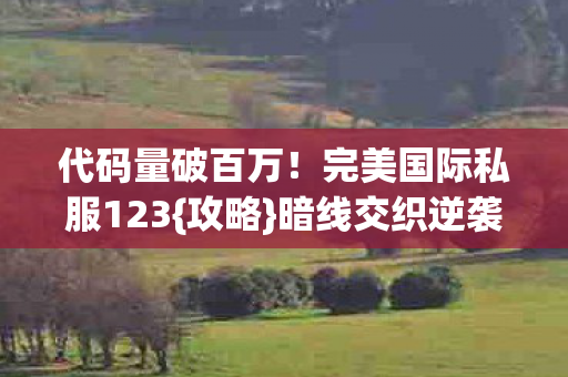 完美国际私服123图片
