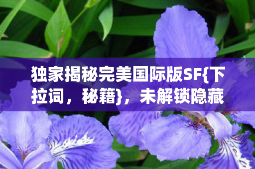 未解锁隐藏体验助你暴风成长图片