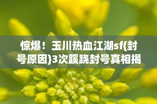 3次蹊跷封号真相揭秘图片