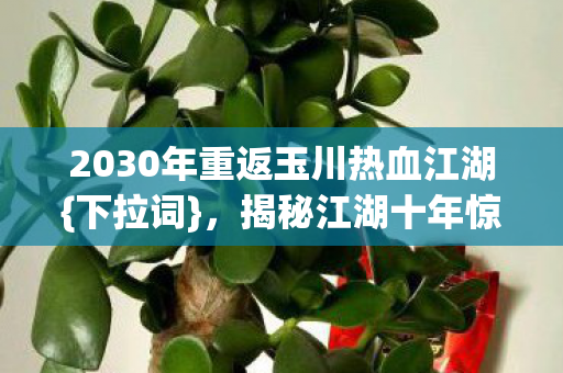 2030年重返玉川热血江湖图片