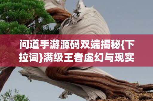 问道手游源码双端揭秘{下拉词}满级王者虚幻与现实震颤