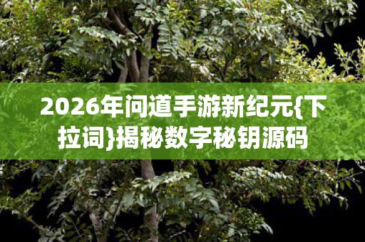 2026年问道手游新纪元{下拉词}揭秘数字秘钥源码 2026年问道手游新纪元{下拉词}揭秘数字秘钥源码