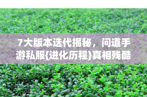 7大版本迭代揭秘图片